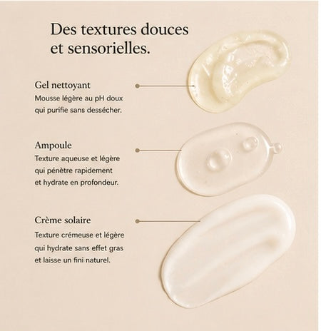 🌱 Skin Reset - Starter Routine